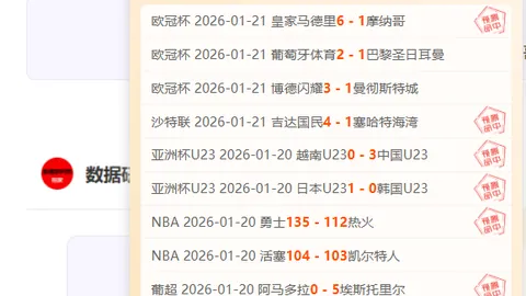 费内巴切追逐埃德森与DV9，斯维拉尔与希克为后备选项