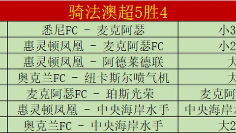 中埃文化交流日益密切——深化中埃民众情感联结的友谊桥梁（新时代中非情谊纪篇）